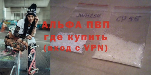 стаф Богданович