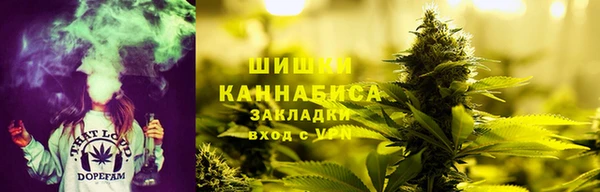 стаф Богданович