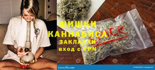 стаф Богданович