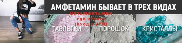стаф Богданович