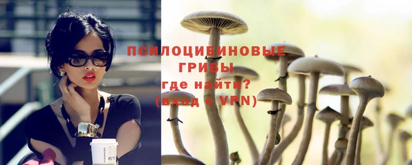 стаф Богданович