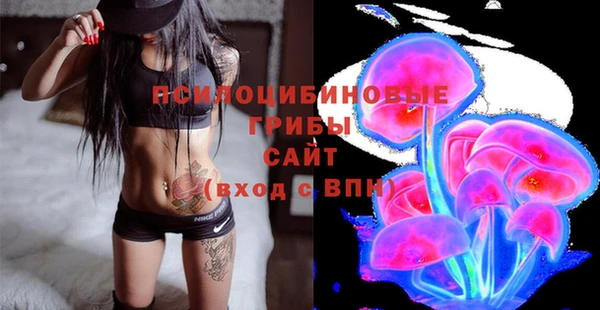 стаф Богданович