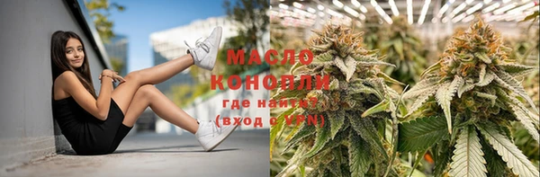 тгк Богородицк