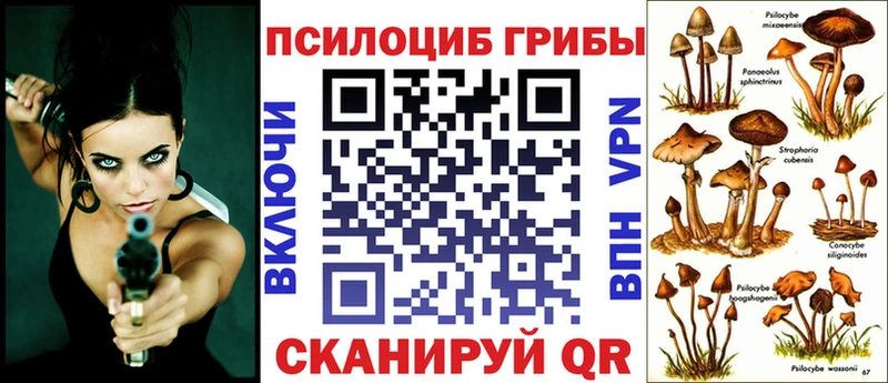 KRAKEN зеркало Бийск Псилоцибиновые грибы Magic Shrooms